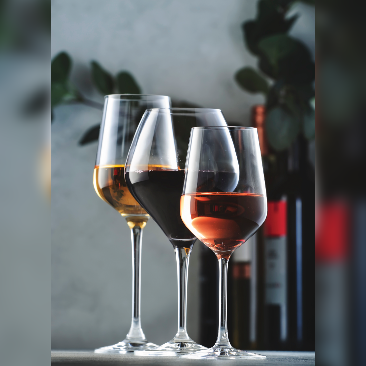 WINE Glass Modern Acrylic Wall Art