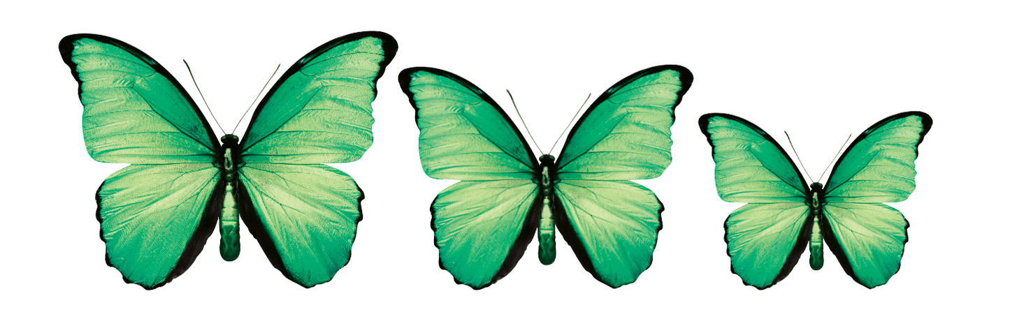 CIRCA 3D MIX Butterfly Acrylic Prints Set of 3