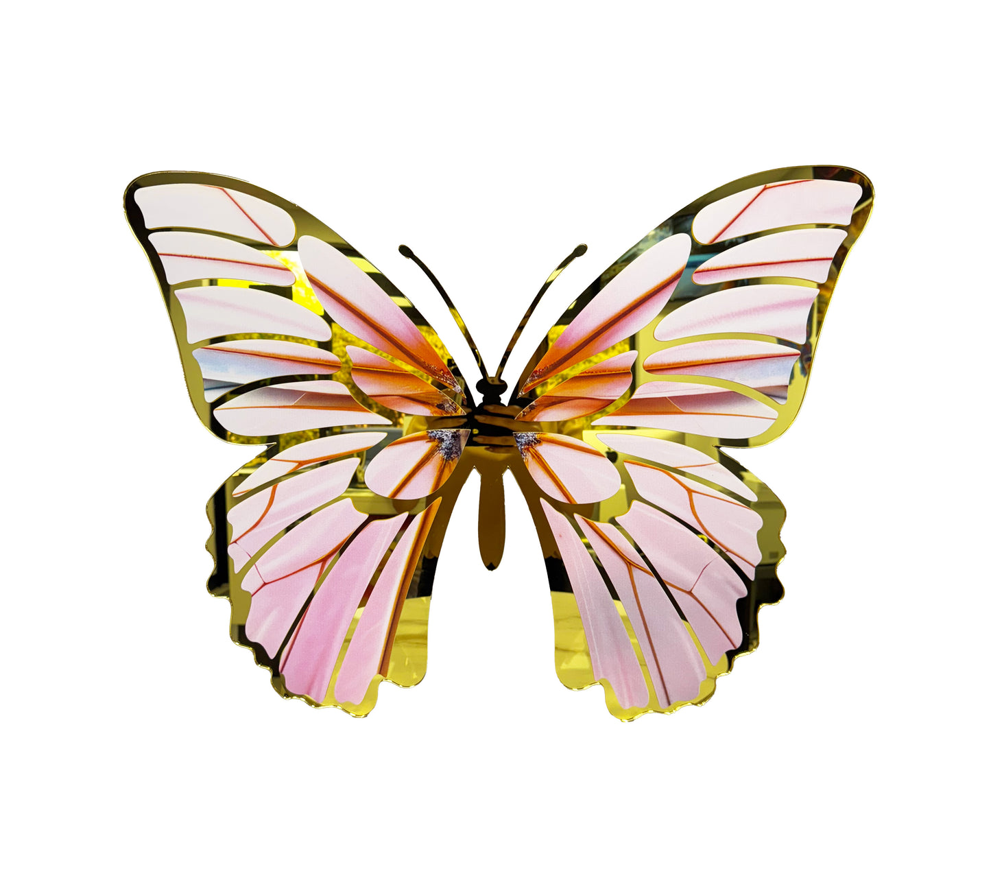 B-10 BUTTERFLY MIRROR DECOR