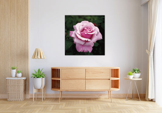 ROSA Pink Modern Wall Art TG