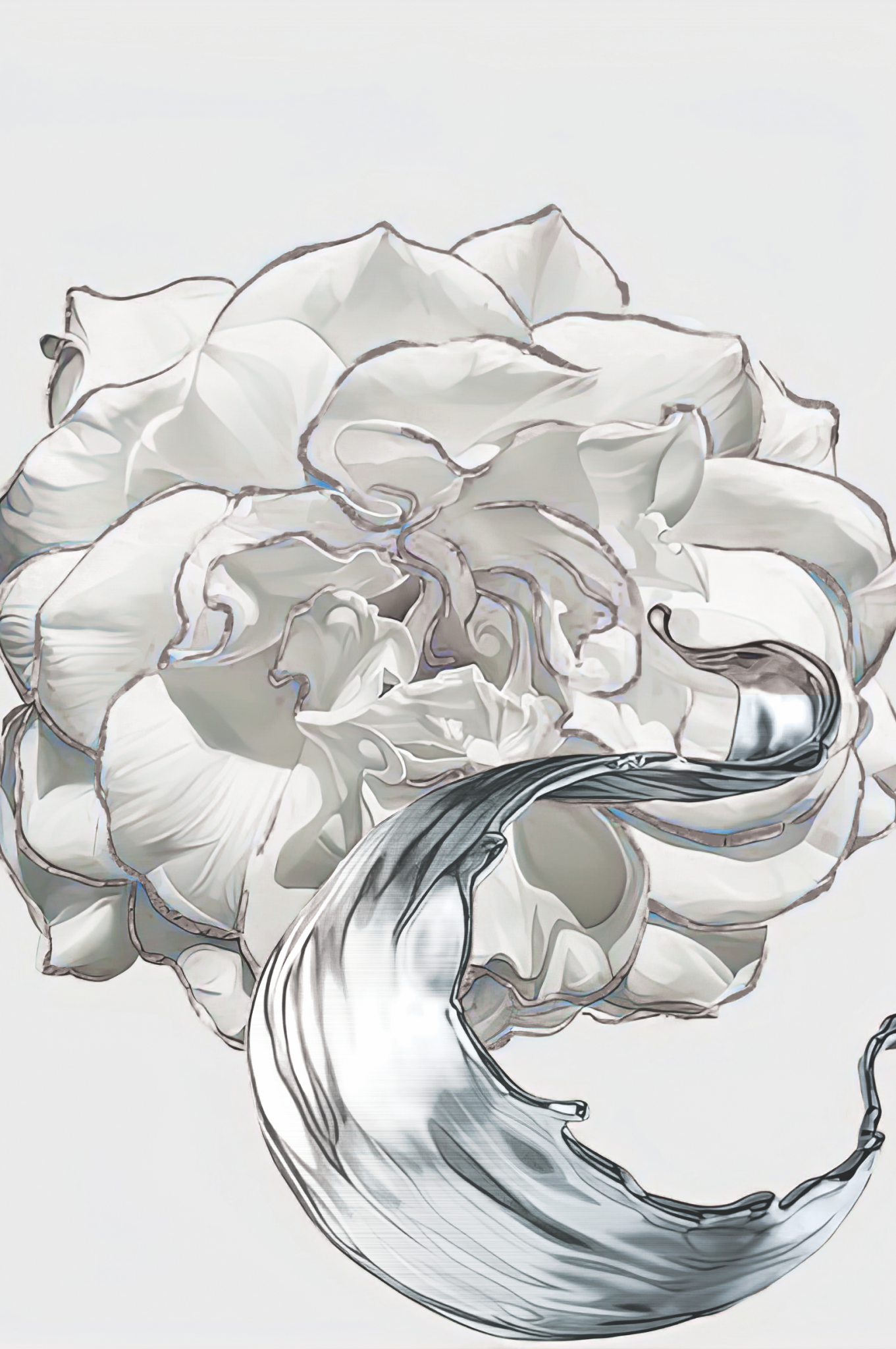 SULC-27 LETO White Rose With Silver Edge Modern Wall Art TG