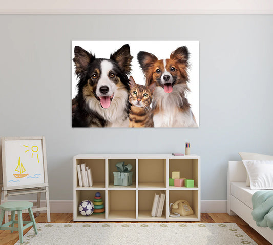 FLINT Border Collie & Cat Acrylic Wall Art Print