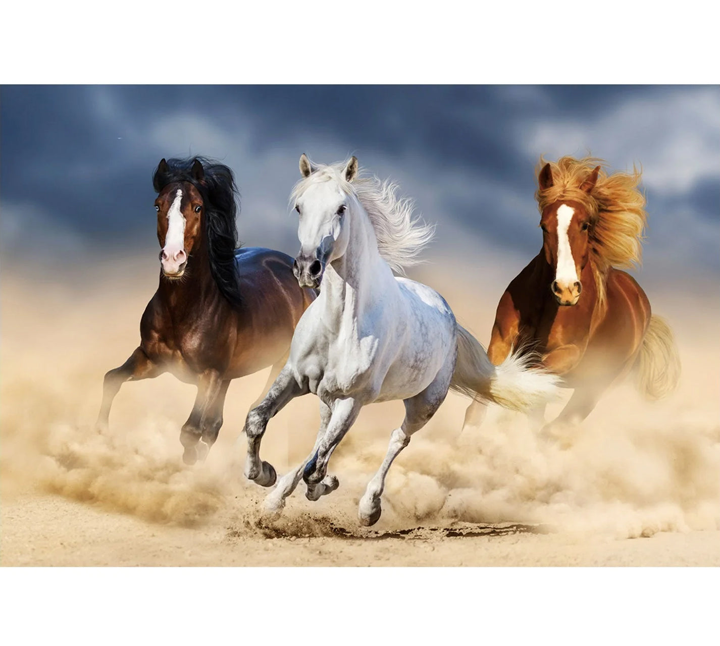 FAWN Horses on the Run Acrylic Wall Art Print